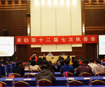 50名代表9天开展100多场宣讲 湖南省妇联执委会召开：团结广大妇女建功新时代