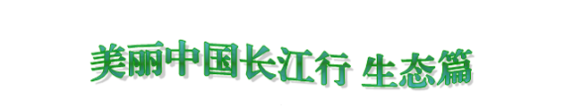 栏目图