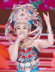 星光大道总冠军刘赛