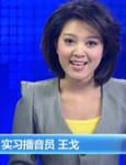 央视实习女主播王戈